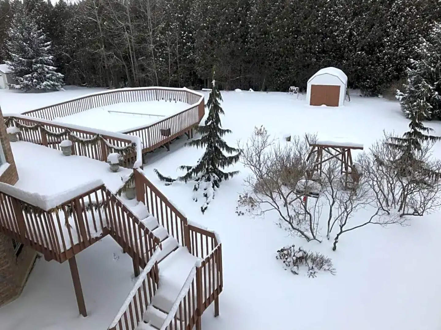 Molly's Retreat B and B