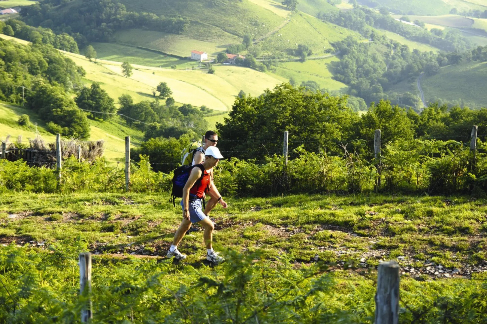Residence Le Clos d'Eguisheim, Eguisheim