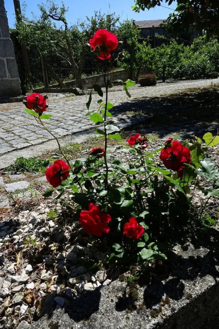 Quinta do Fundo de Vila