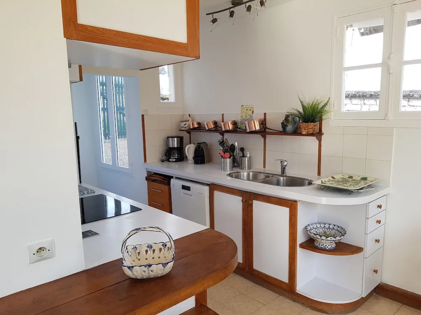 Les Camélias des Demoiselles de Pallus