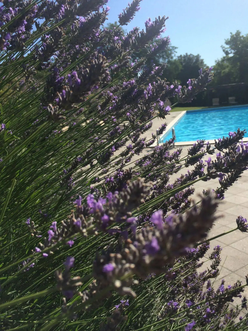 Agriturismo Tenuta Lupinari