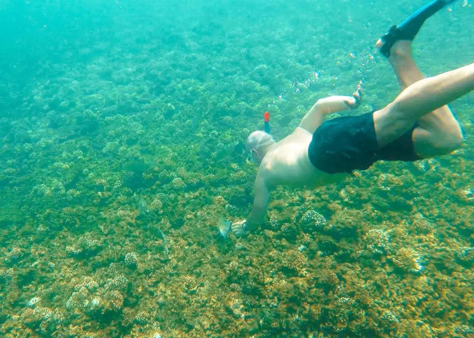 Casa de Campo Pedasi