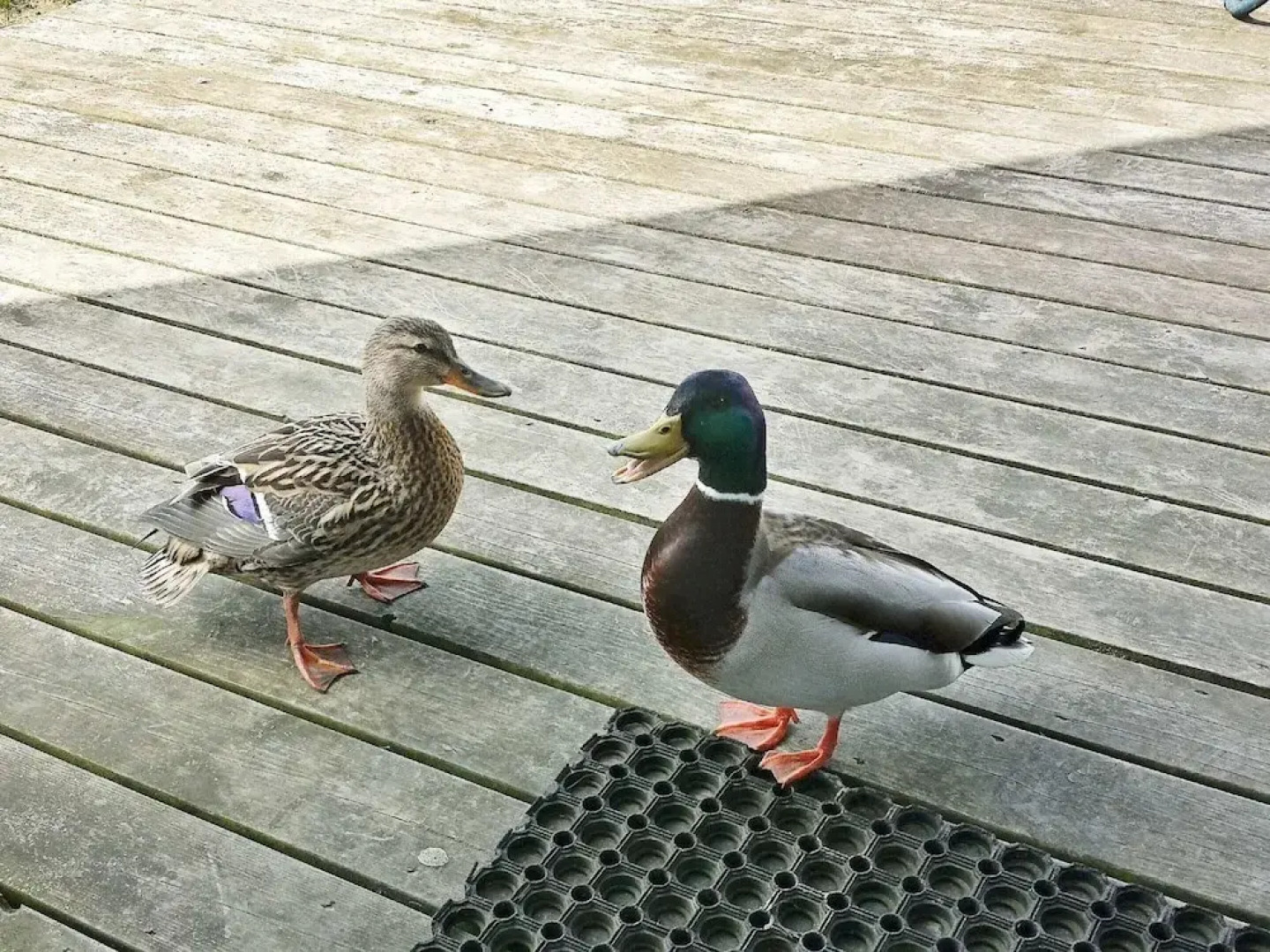 Holiday Home in Otterndorf