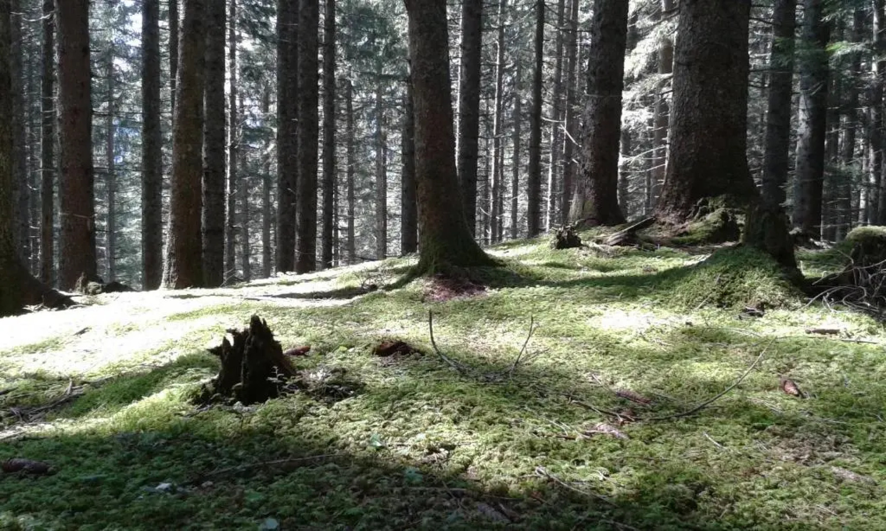 Ferienwohnung Peter Egger