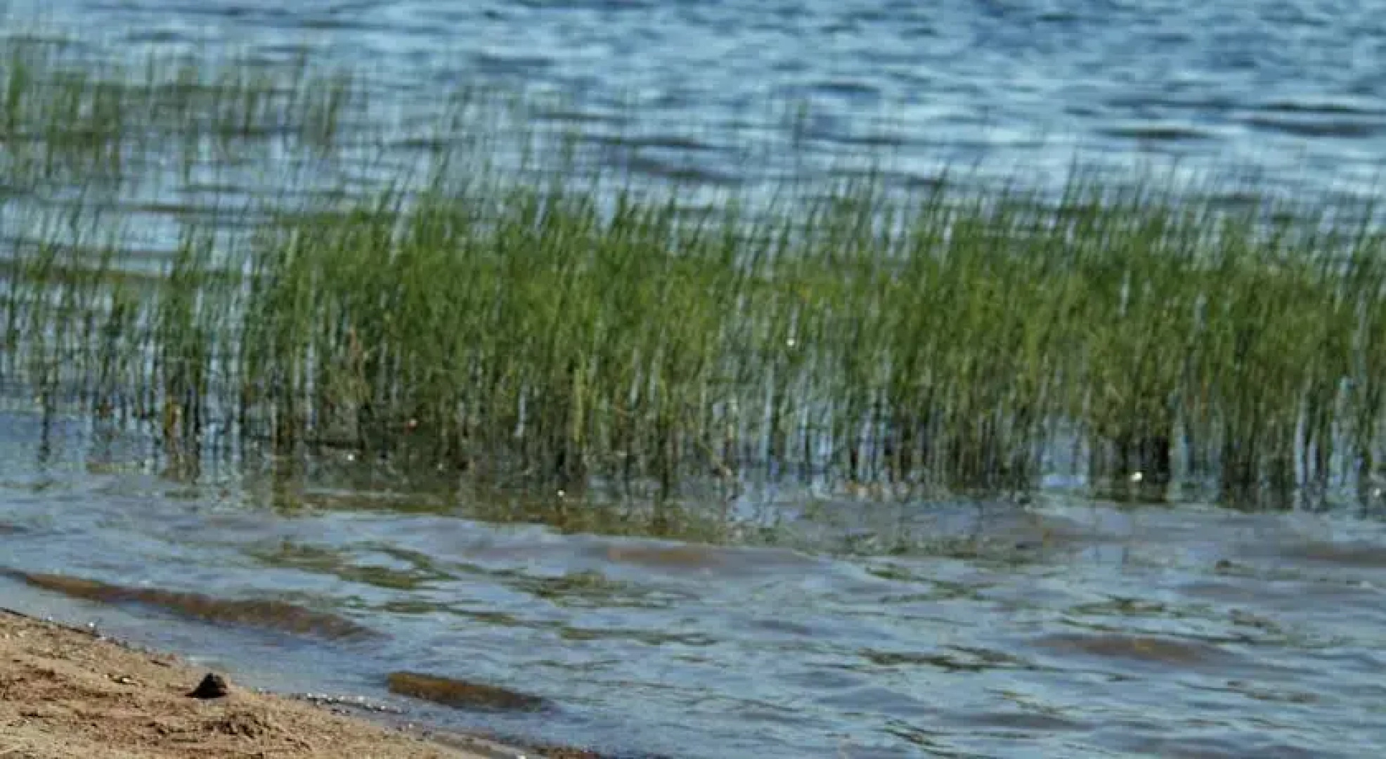 Kuntoutumiskeskus Apila