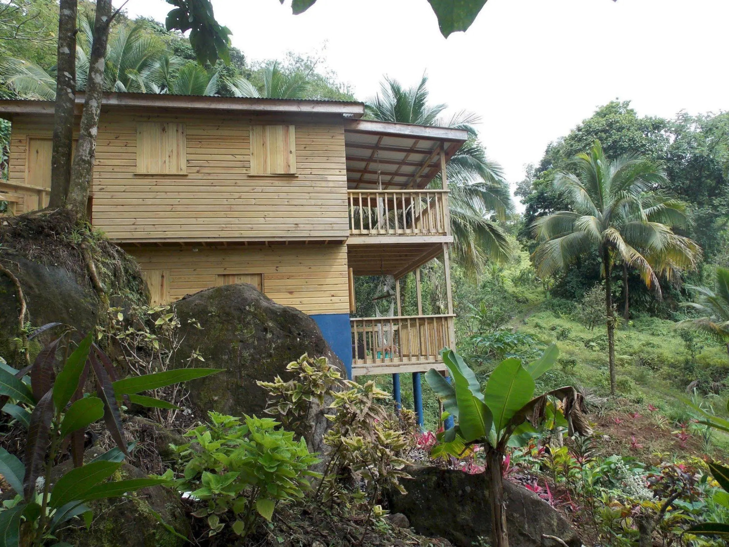 Roots Jungle Retreat