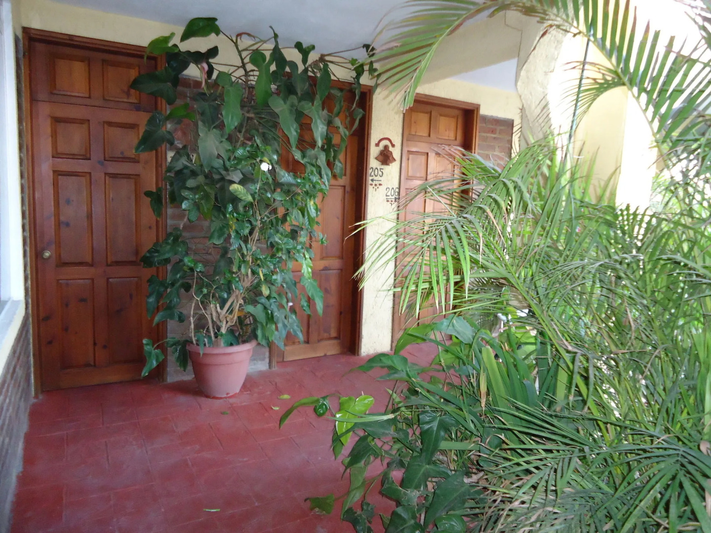 Hotel Baja Cabo