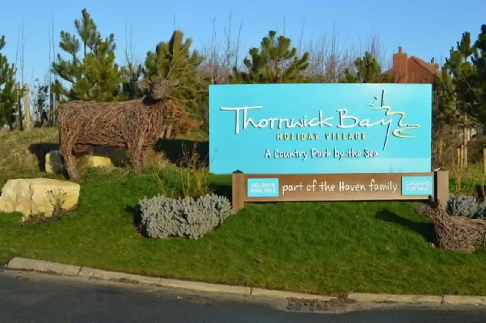 Yellow Hammer - Free Wifi