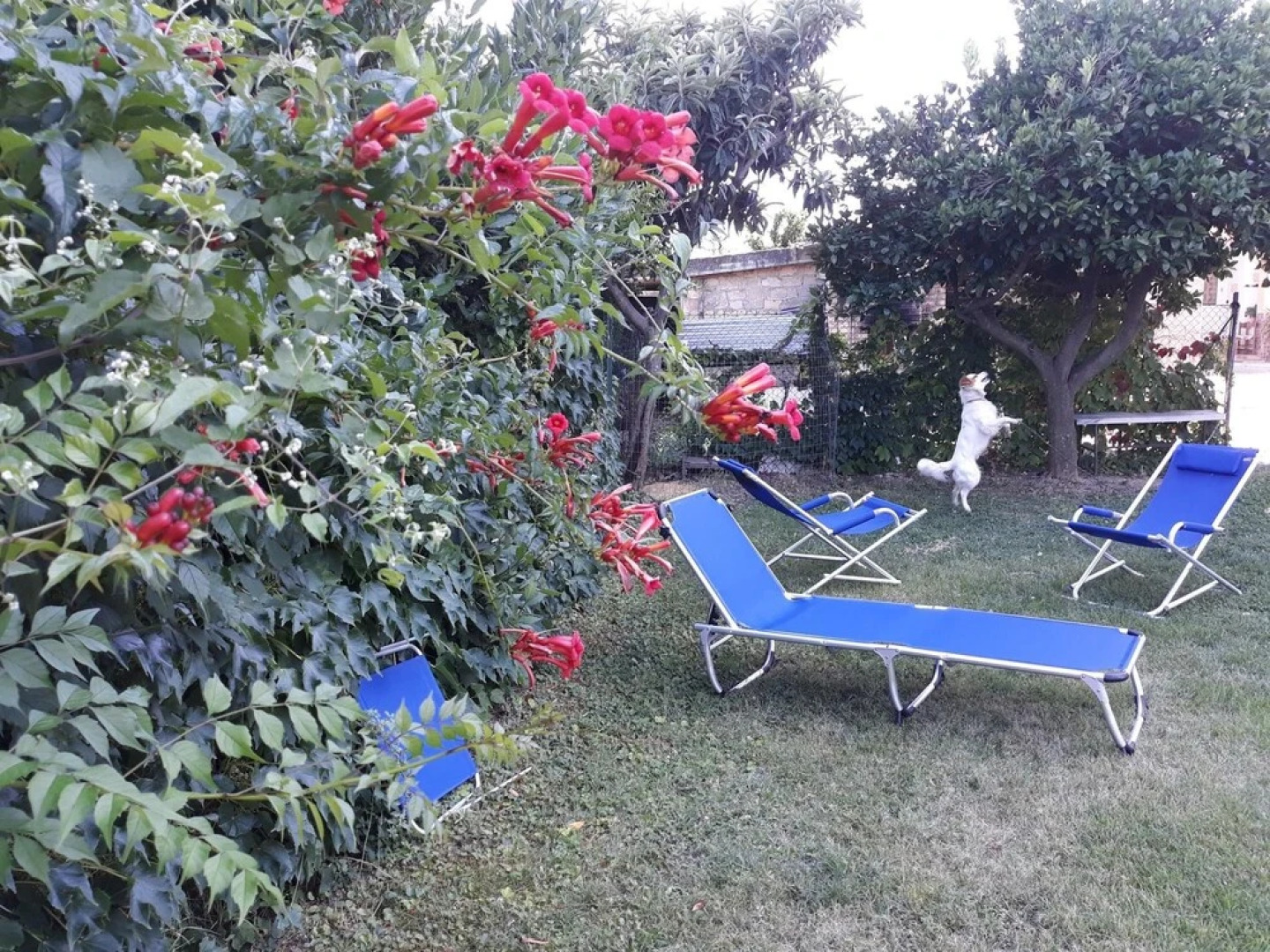 Studio in Canosa Sannita, With Wonderful sea View, Enclosed Garden and