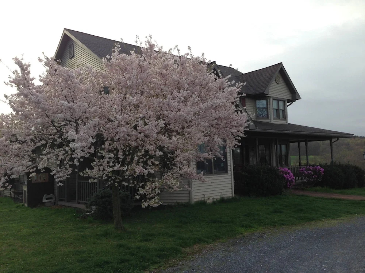 The Dragonfly Bed and Breakfast