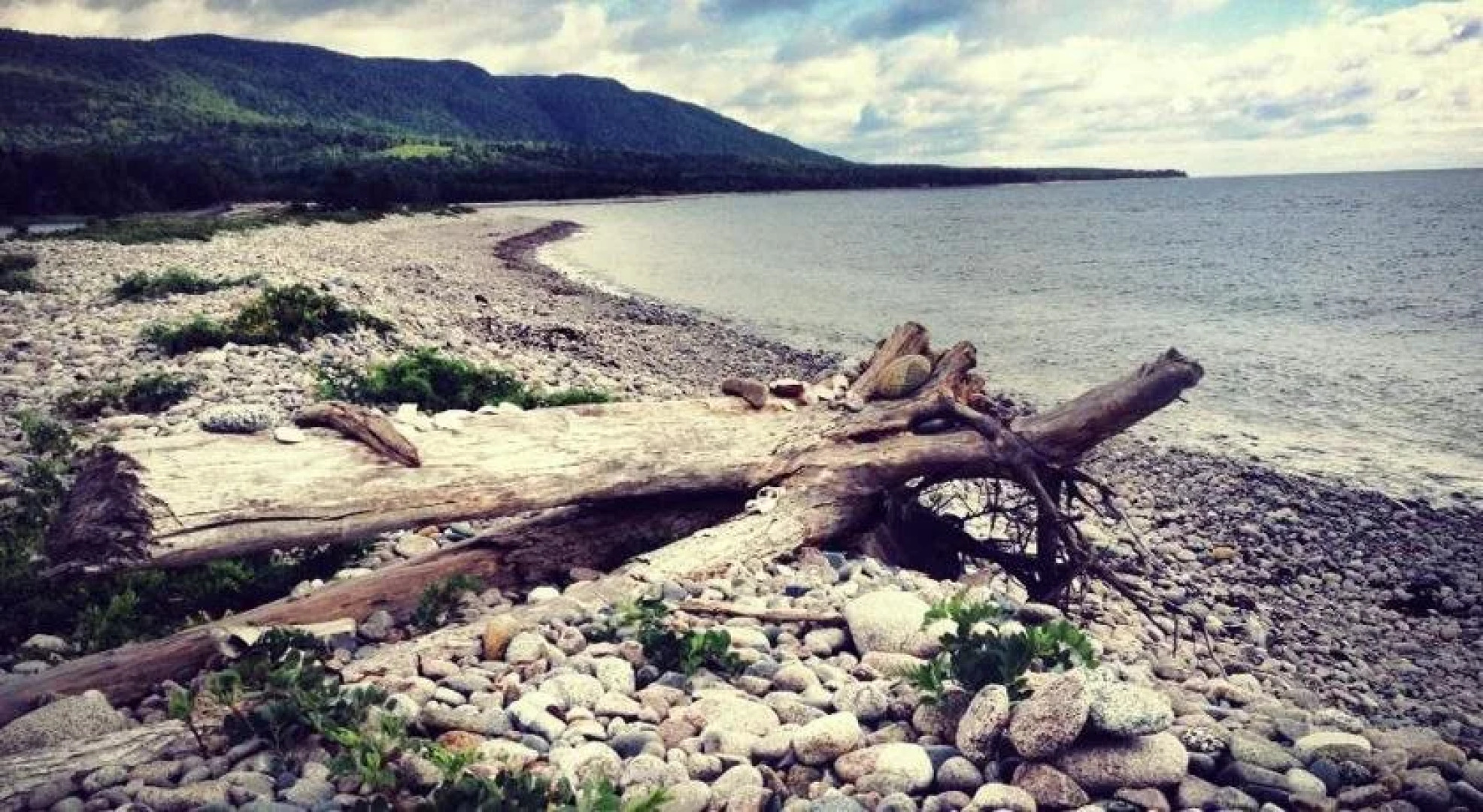 Cabot Shores Wilderness Resort