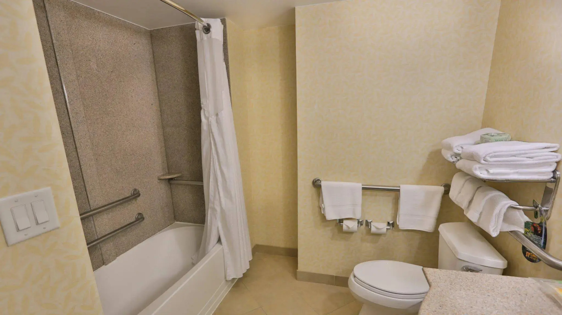 Holiday Inn Express & Suites Asheville Downtown by IHG