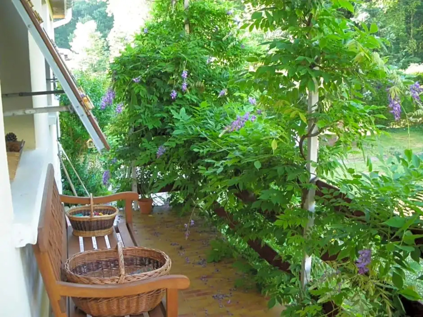 Chambre d'Hôtes - DOUCE NUI-THE