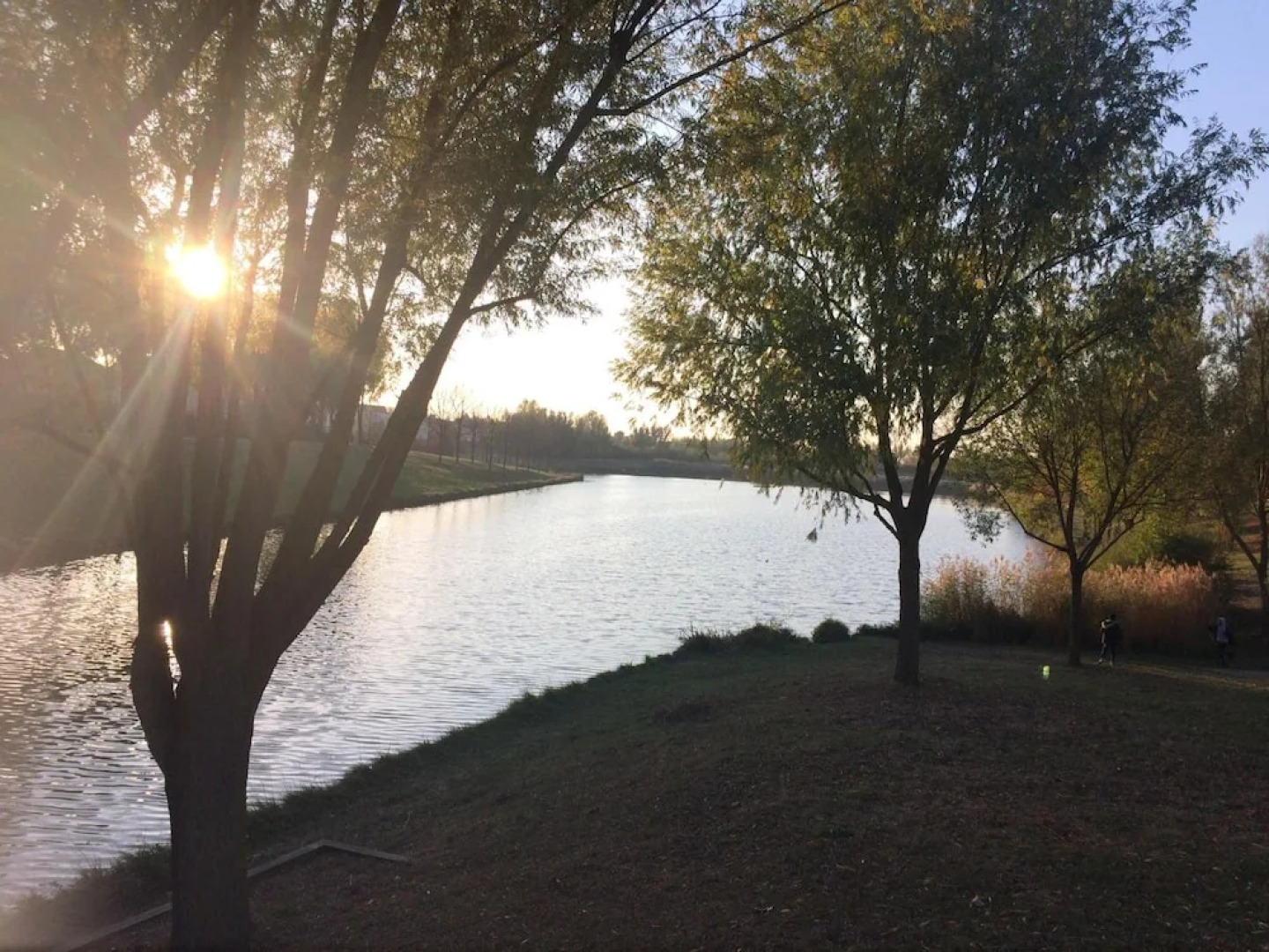 Chambres d'hôtes Au Lévrier de Chessy