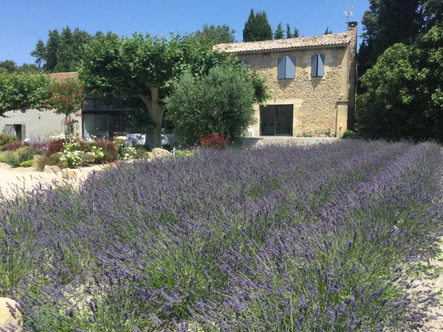 Mas provençal avec piscine chauffée, en campagne de Salon de Provence, 8 personnes - LS7-351 L'IDOLO