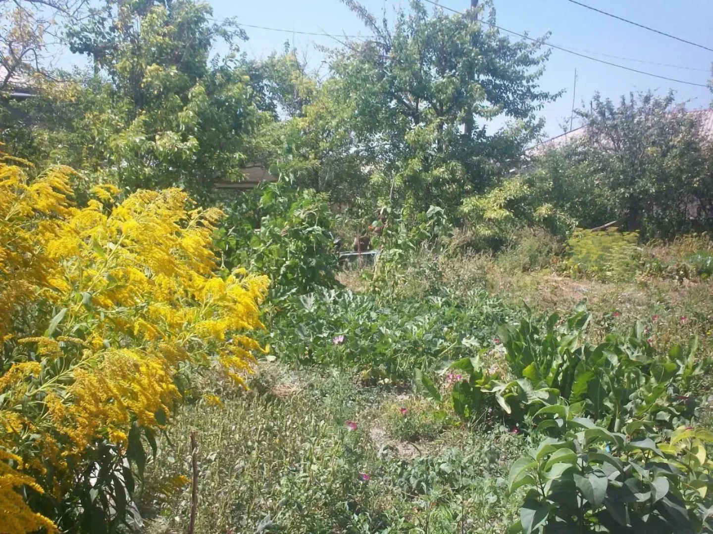 Barseghyan's Guest House