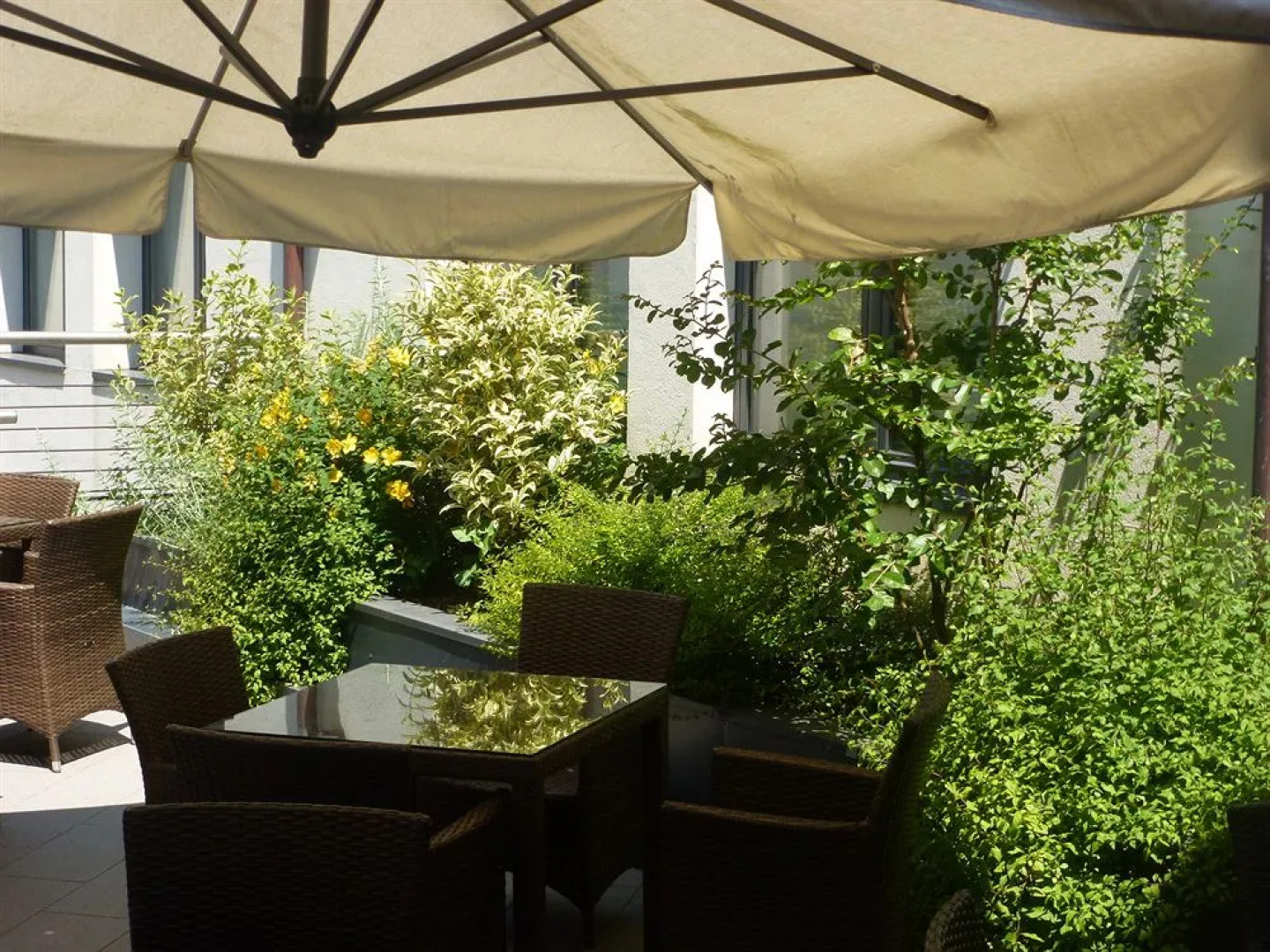 Continental Urban Art Hotel