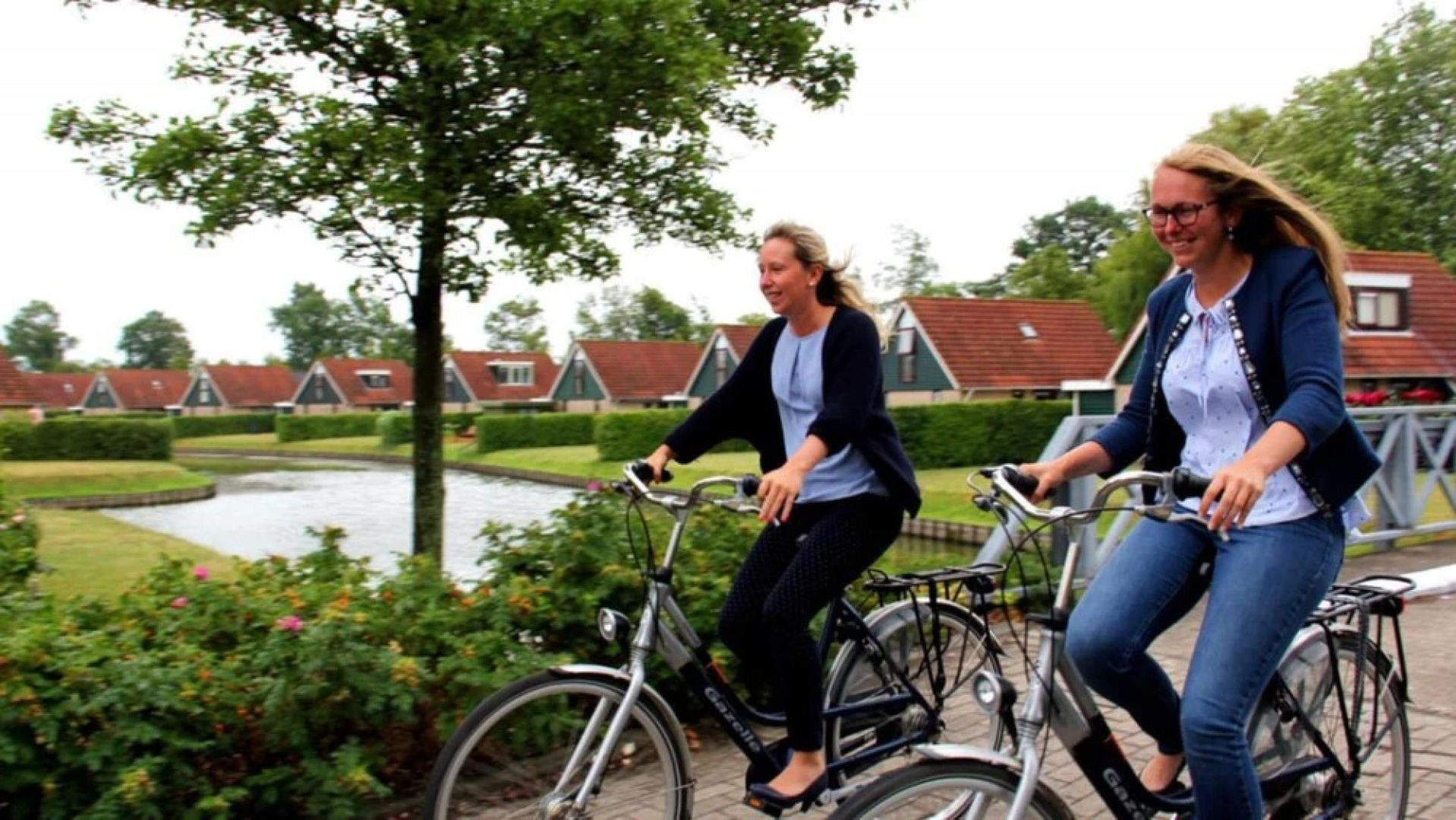 HVZ Iris Wellness 4p