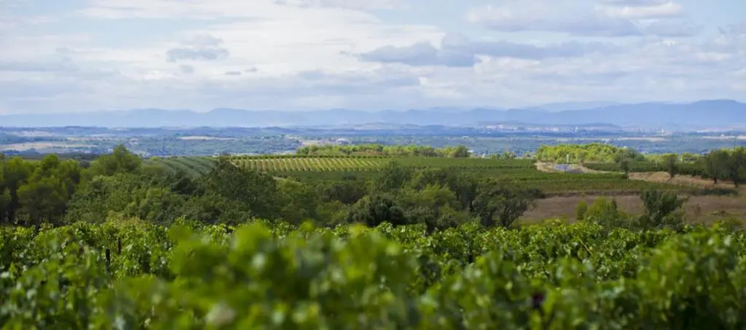 Apartments La Comédie de Pézenas