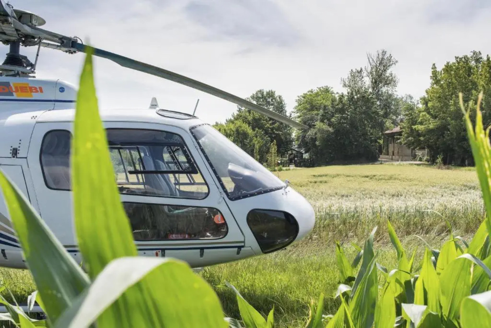 Glass House & SPA - DREAM&CHARME Certified -