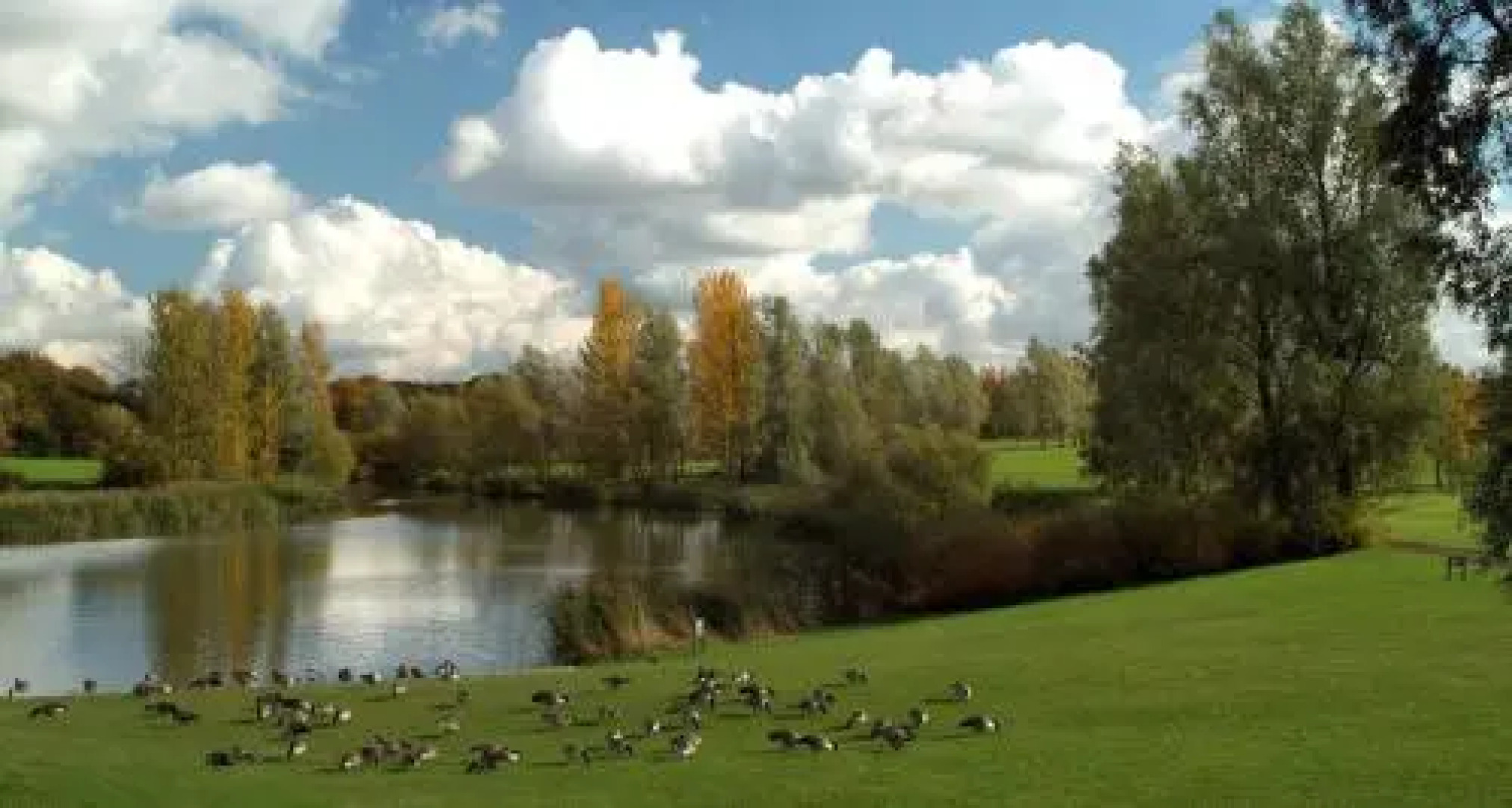 National Badminton Centre Lodge  Healthclub