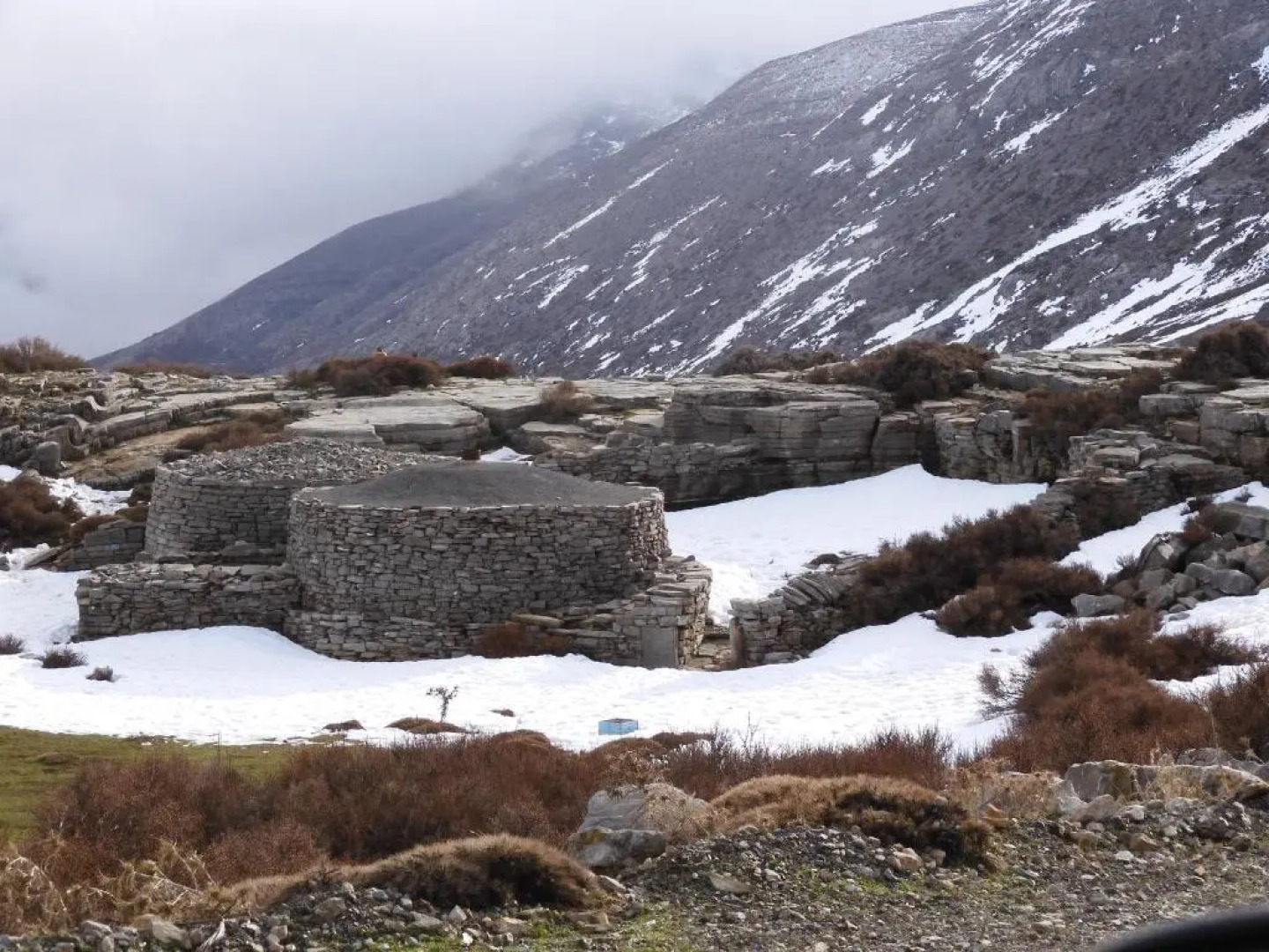 ''Prasini Folia'' Apartments - Apartment ''STEFANA''