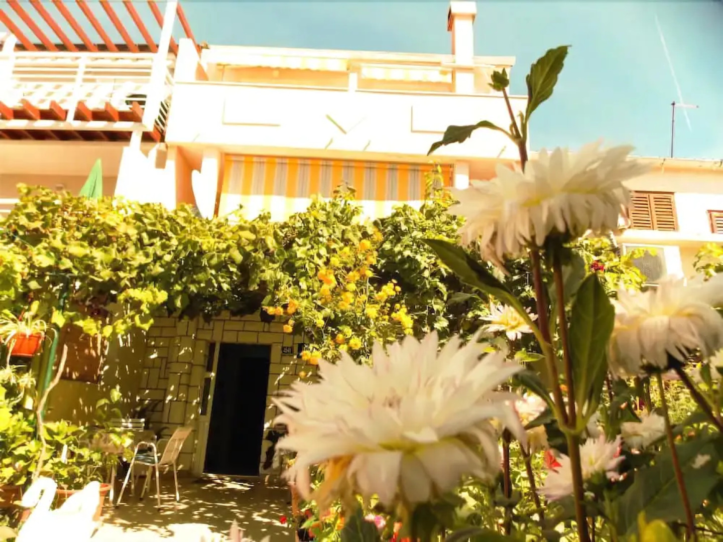 Guesthouse Jenny - Adults Only