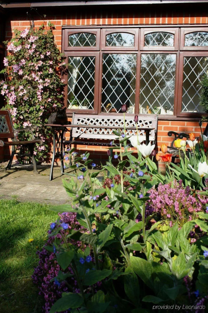 Toothbrush Rooms at Lattice Lodge