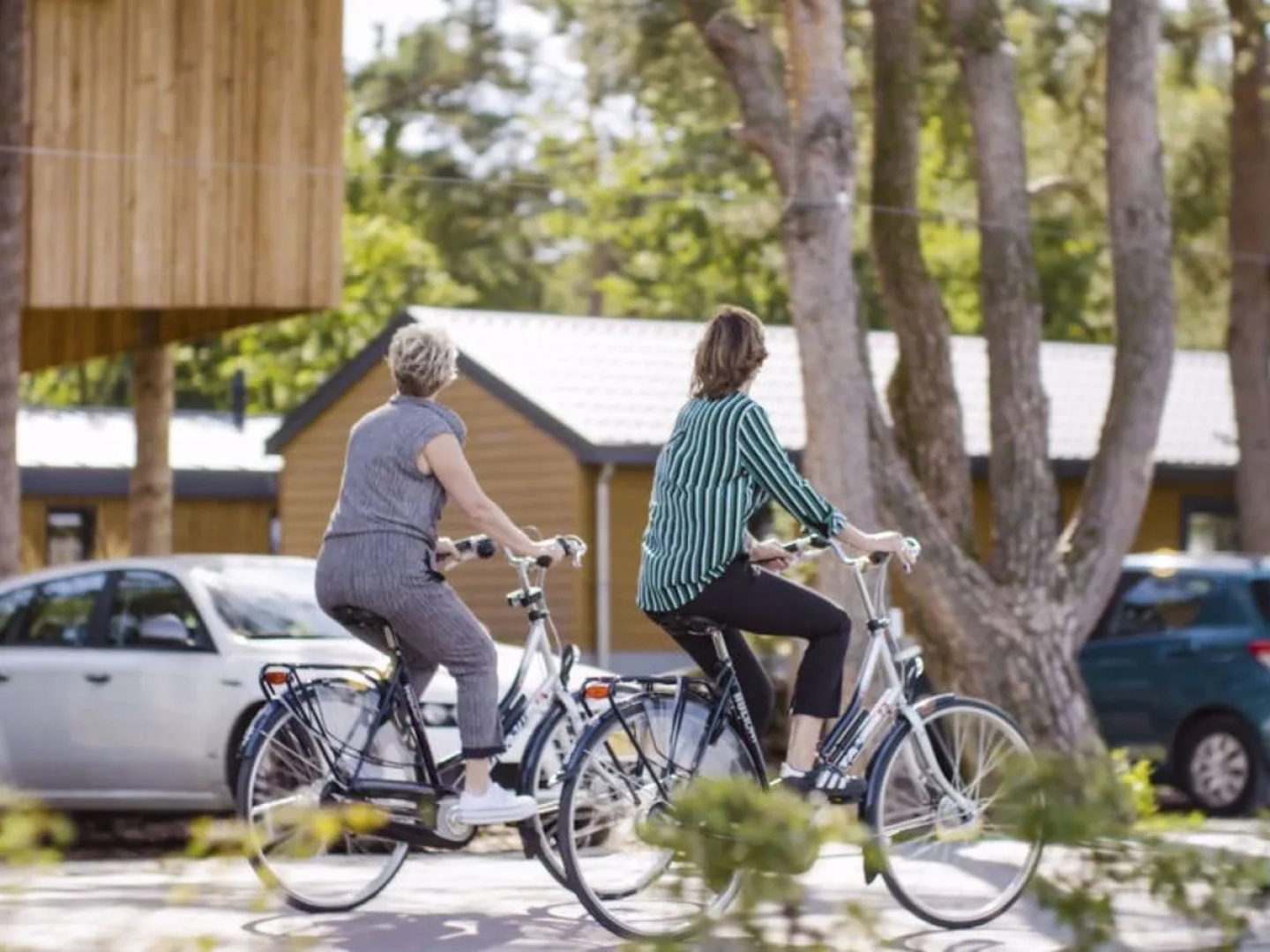 EuroParcs Resort De Wije Werelt 23355