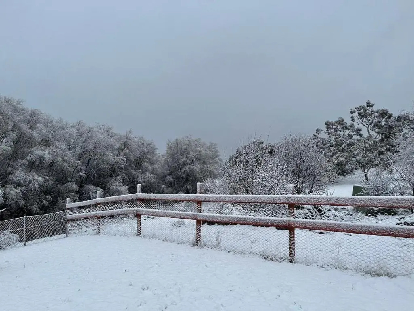 East Jindabyne- Cavallino 4 bedroom home