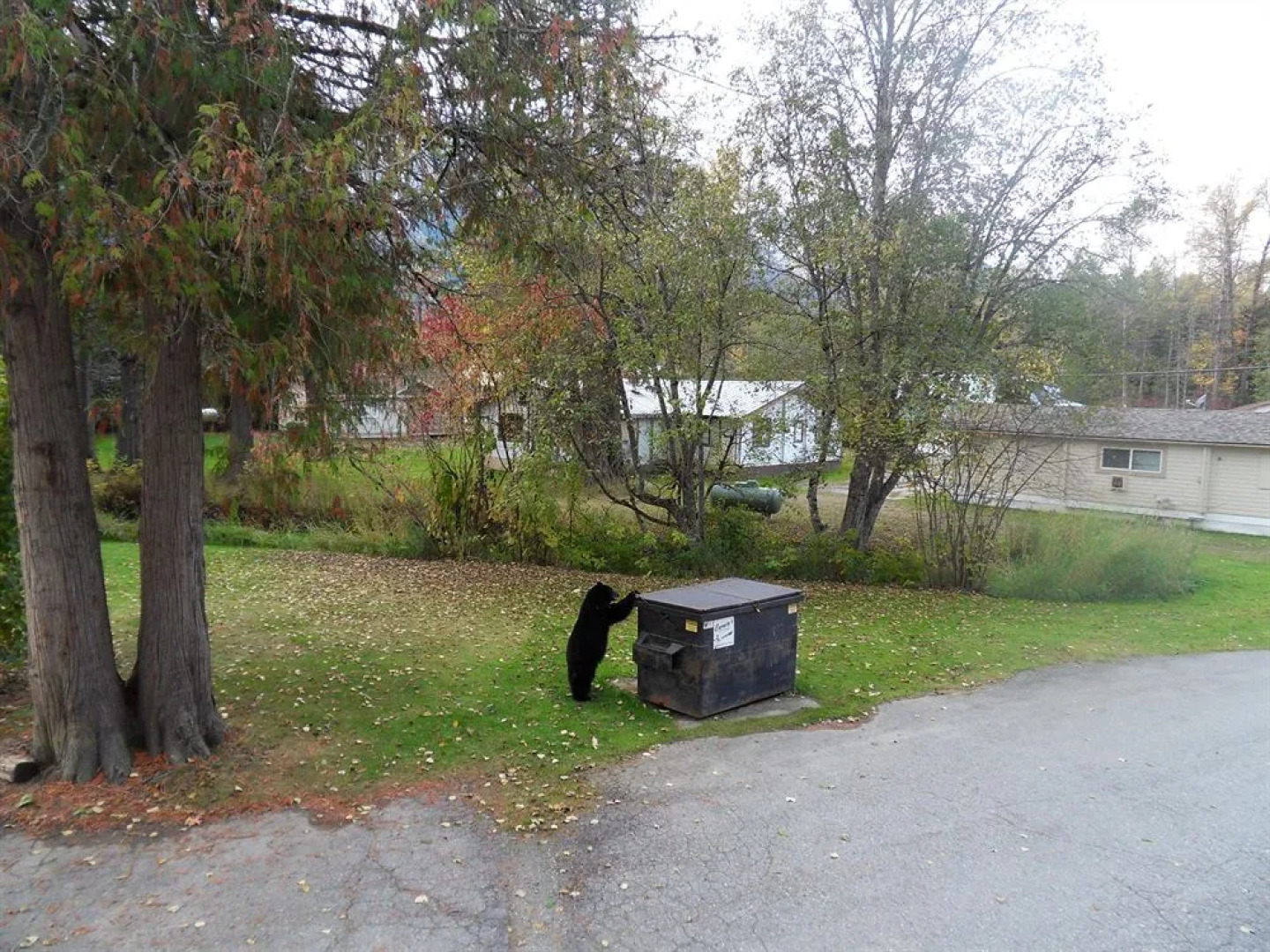 The Hitching Post Motel