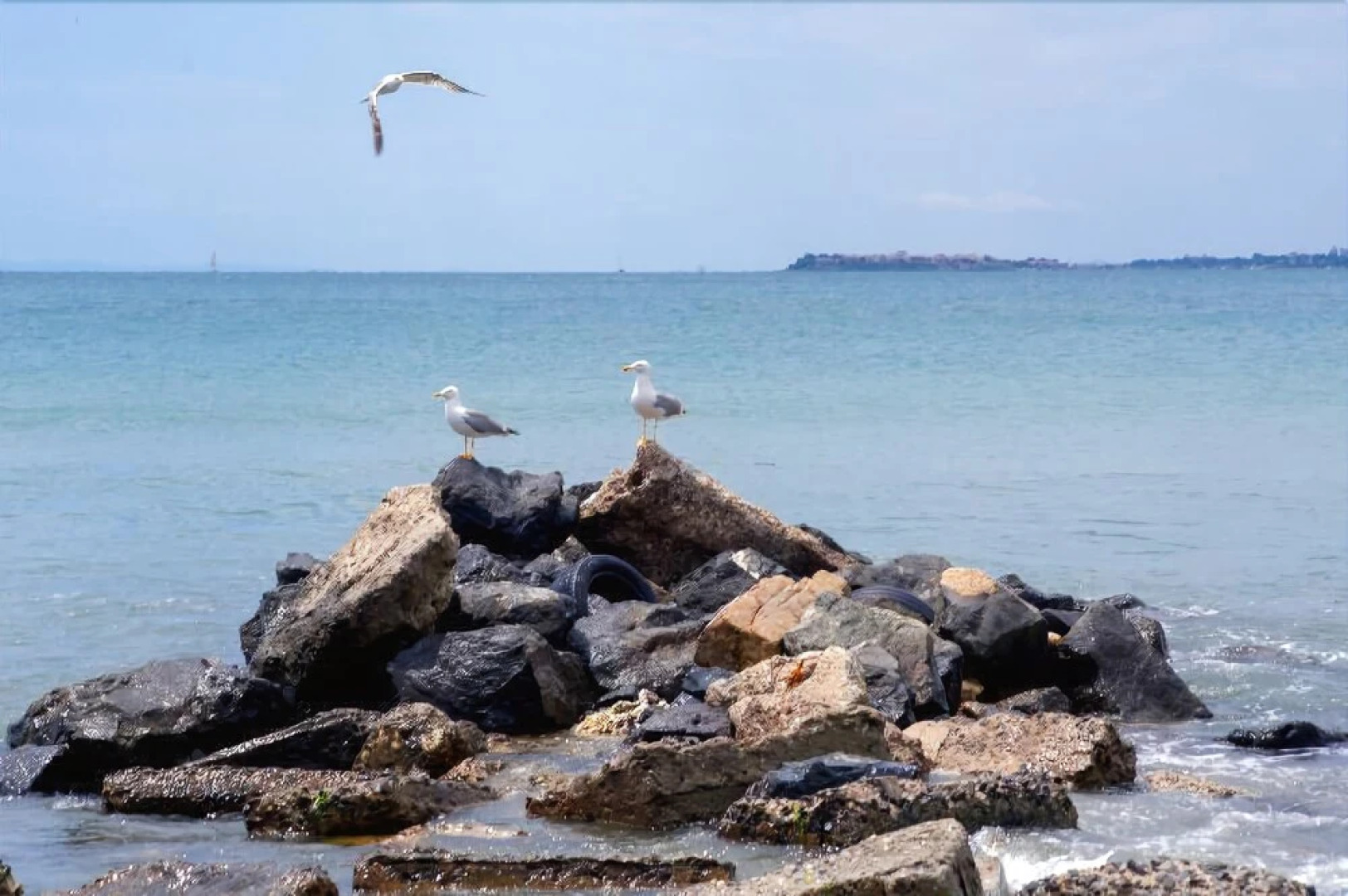 Robinson Vip Apartments