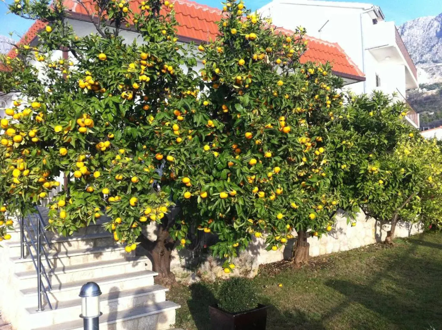 Villa OLD OLIVE, 3lovelyvillas