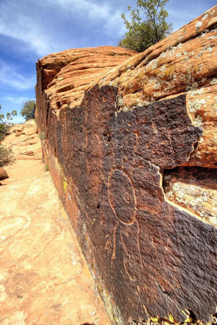 The Advenire, Autograph Collection