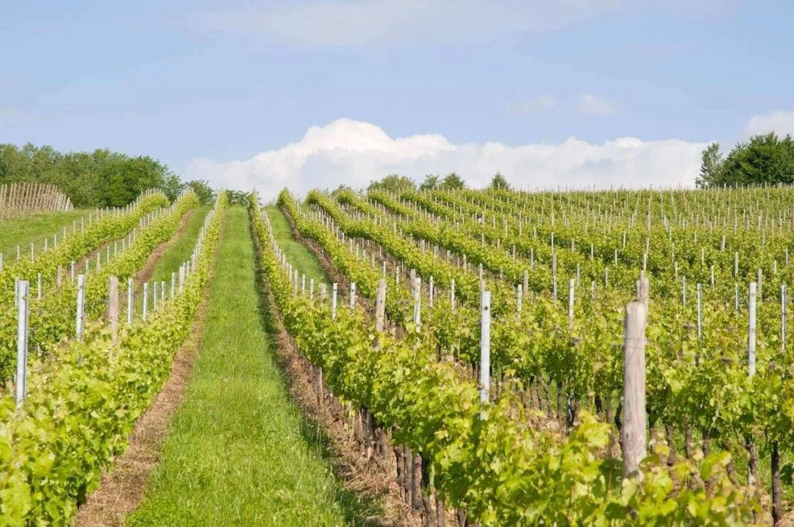 Agriturismo Prime Gemme