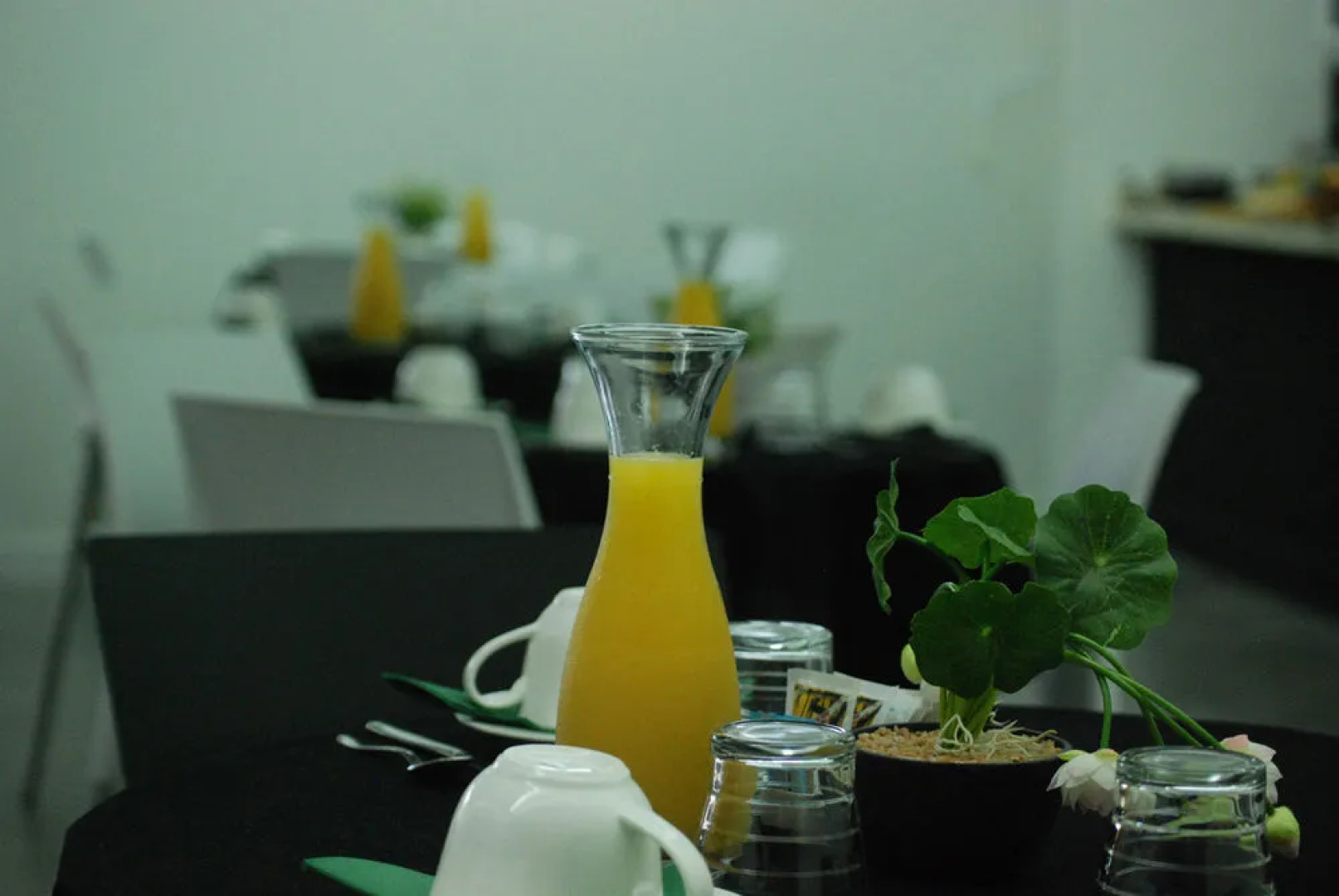 El Abuelo de la Cachava