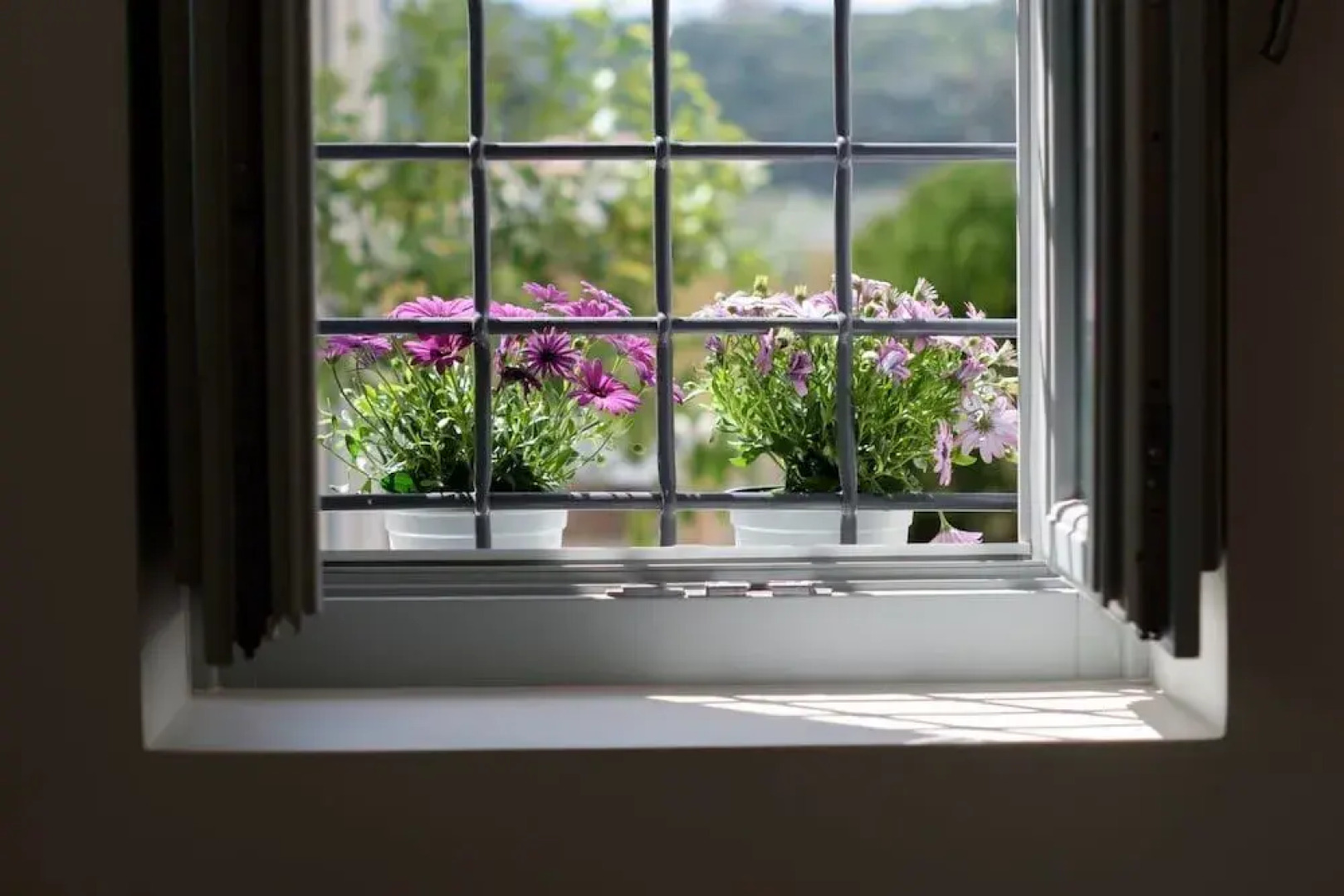 Traditional Guest House Grandma Vitsas