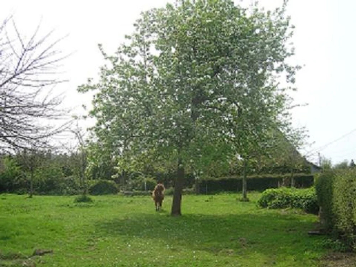 9 La Beauficerie Bed and Breakfast