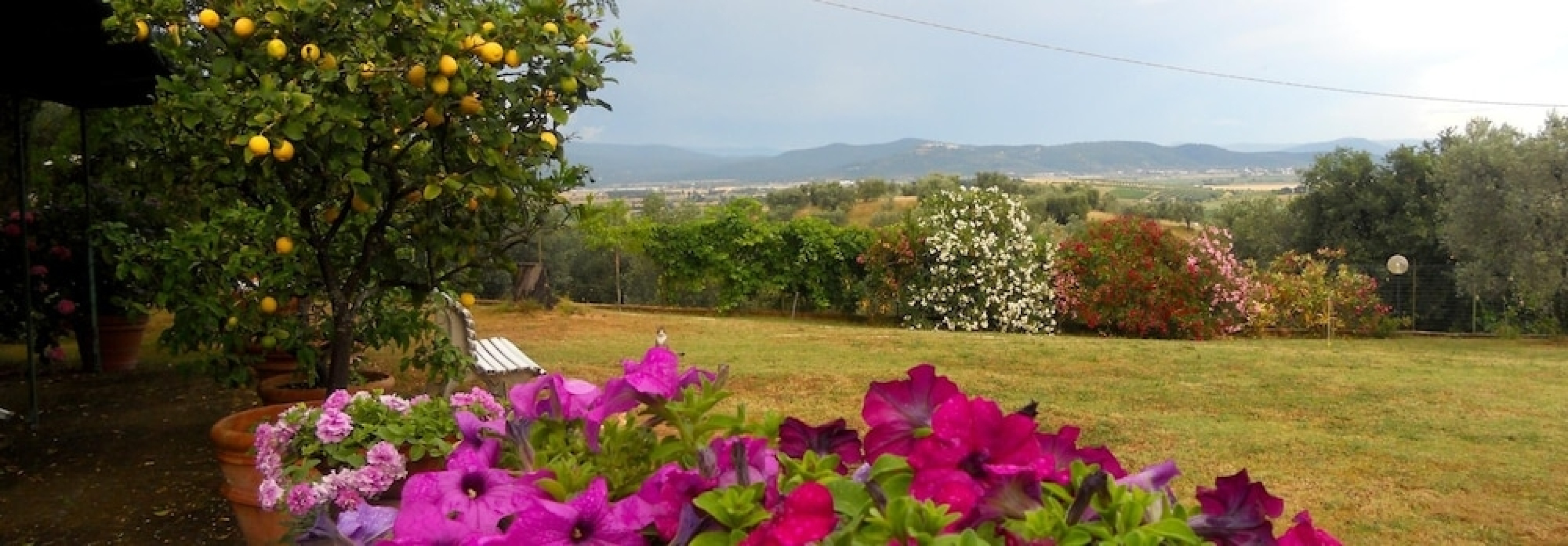 Agriturismo Arnaio