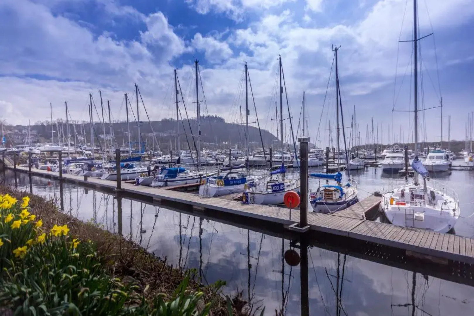 Marina View Apartment