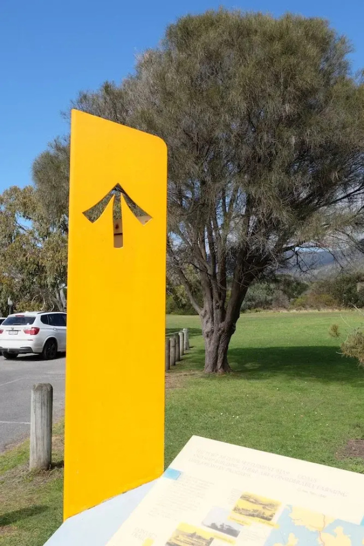 Blossoms on the Bay - 4 Bedrooms