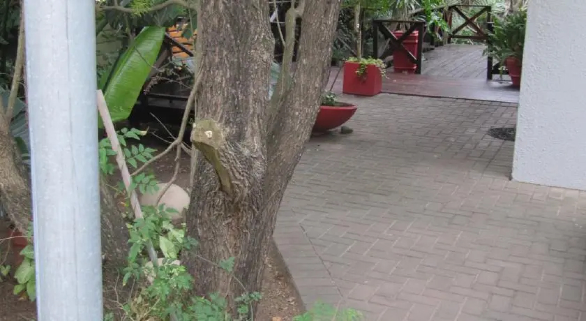 Chimneys Guest House