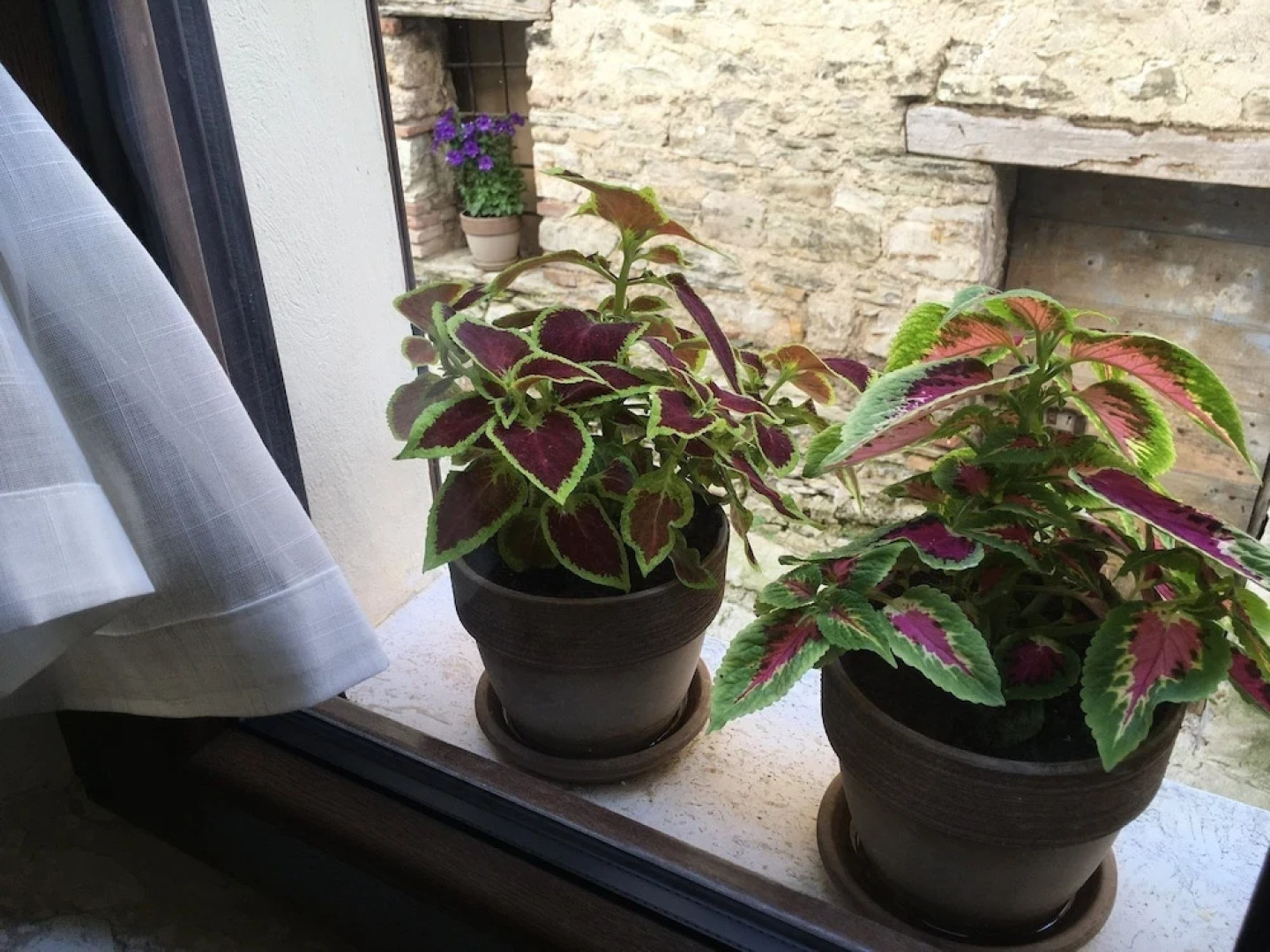 Il pastore errante Frasassi