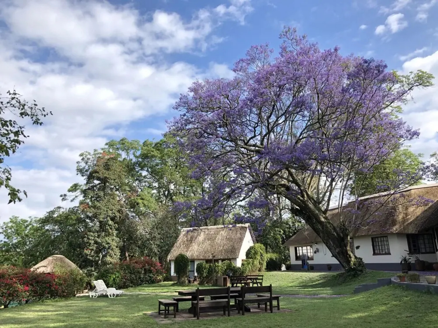 Thokozani Lodge