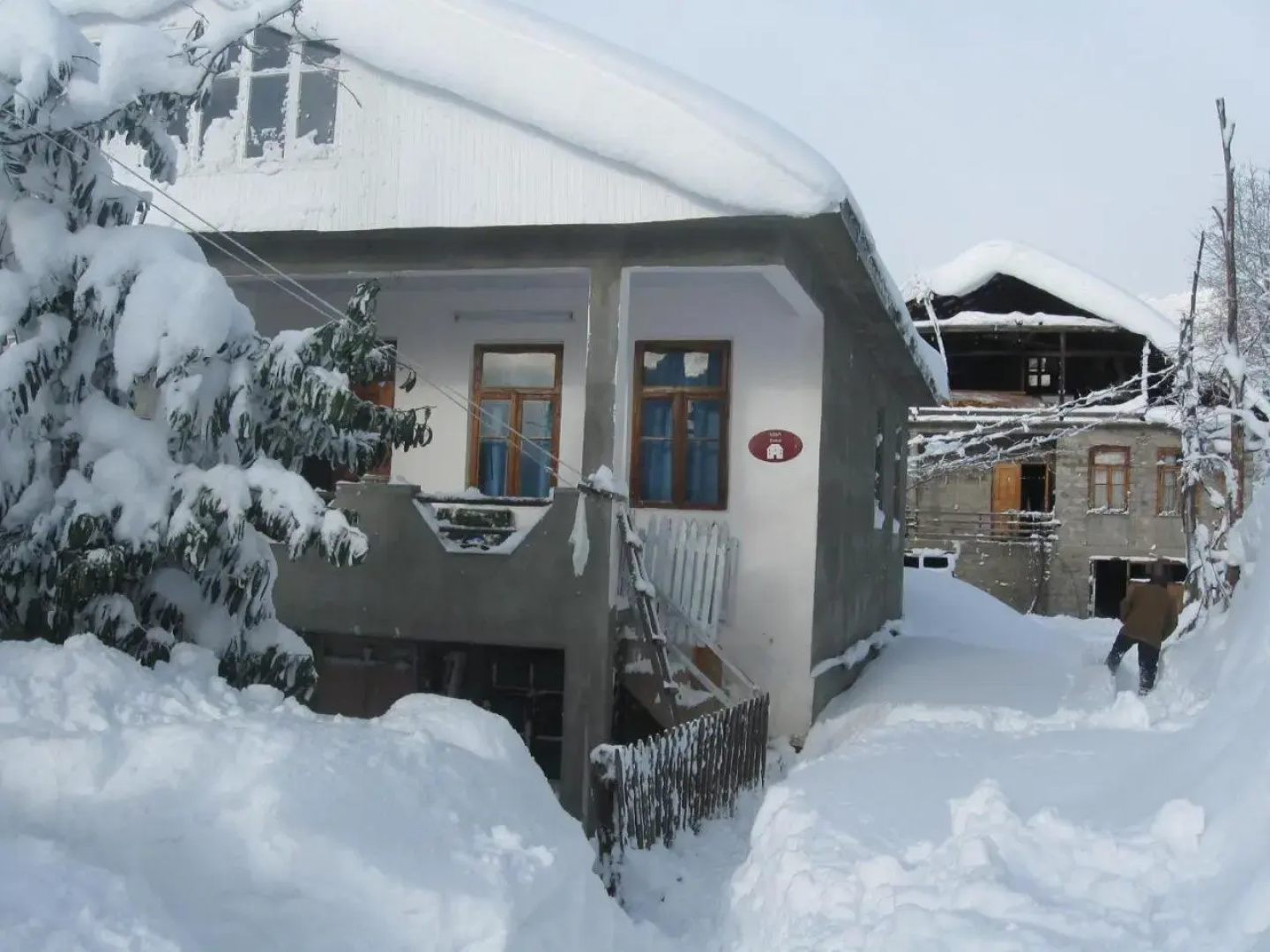 Guest House Zebo
