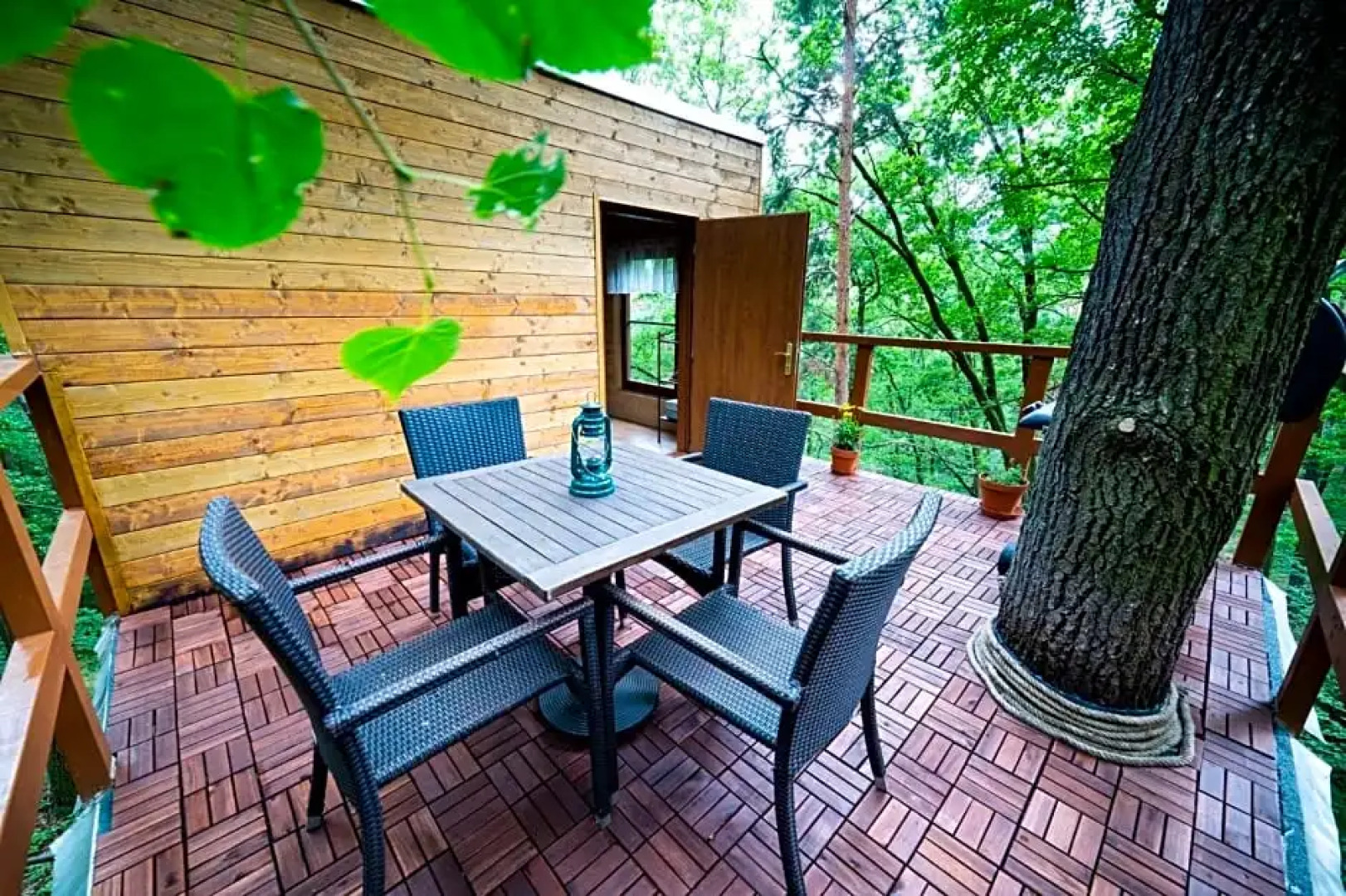 Treehouse Zlatá Koruna