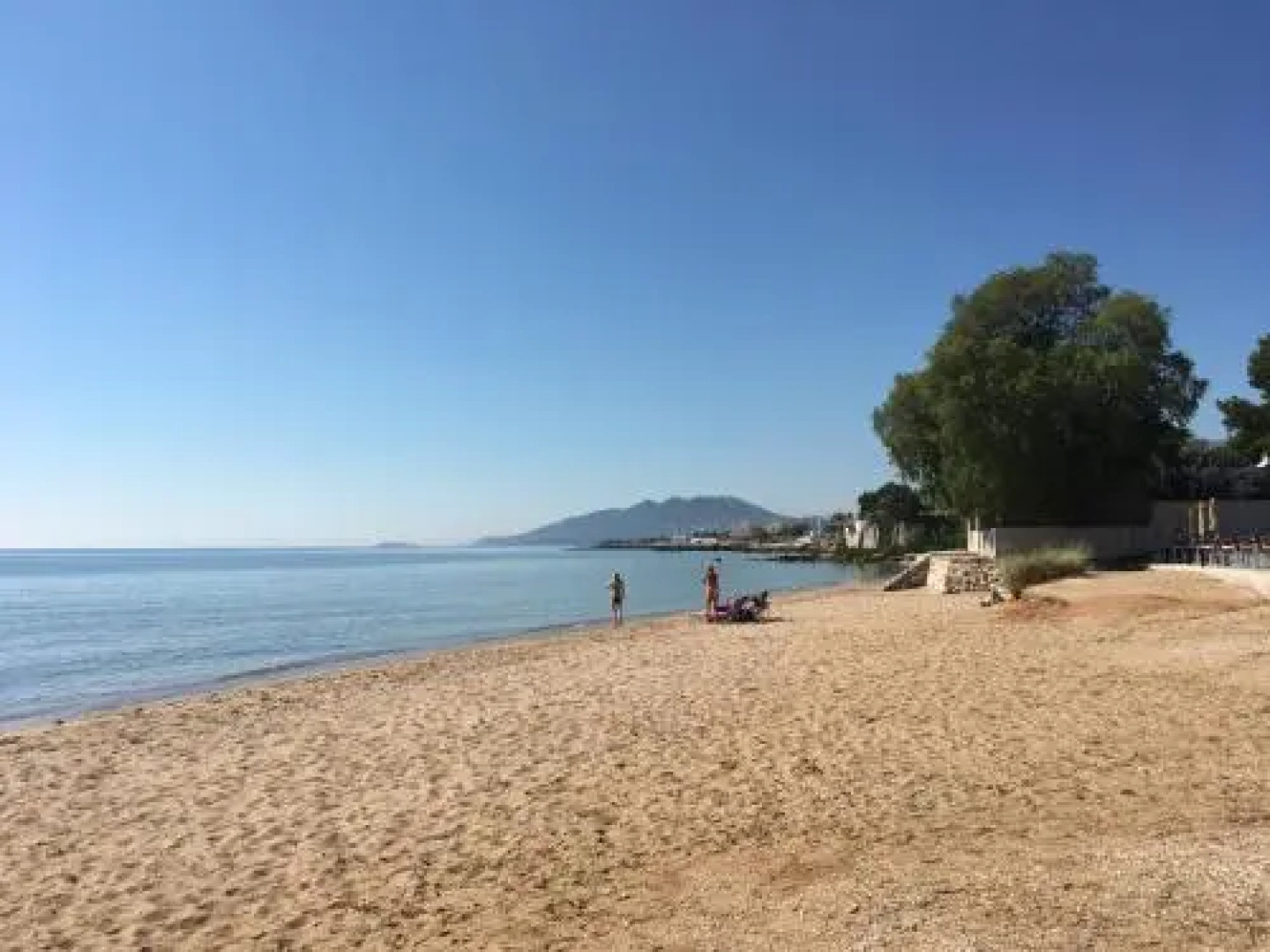 Hector Villa Airport