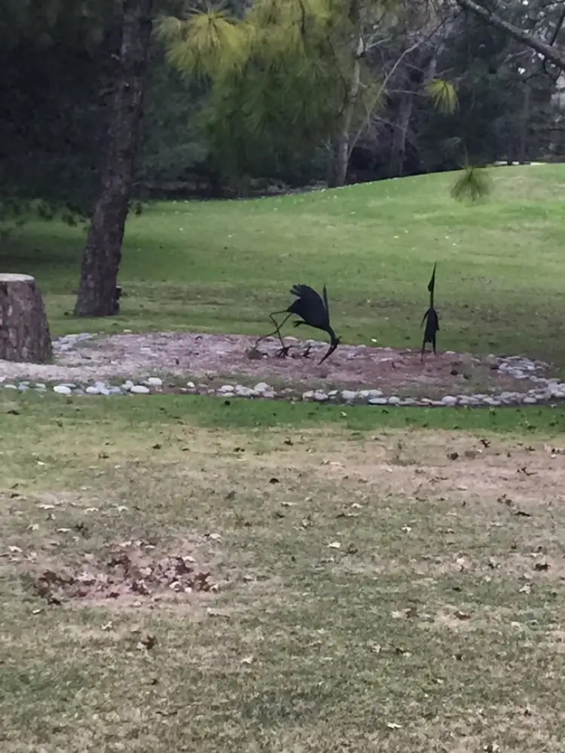 Casa de Huespedes El Trebol Bed & Breakfast