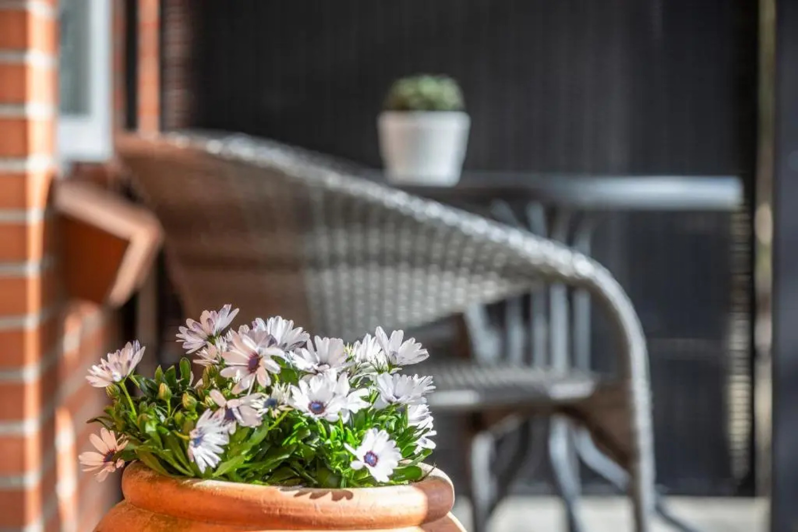 Danhostel Nymindegab