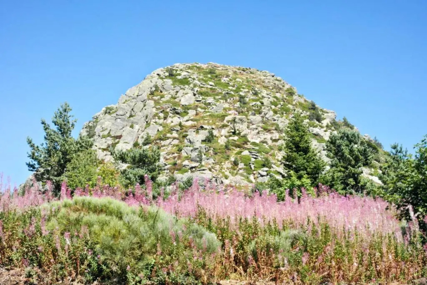 Maison de 2 chambres avec jardin amenage a Saint Basile